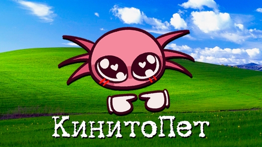 Песня 🎵друзья на всегда🎵кинито пет нинтер