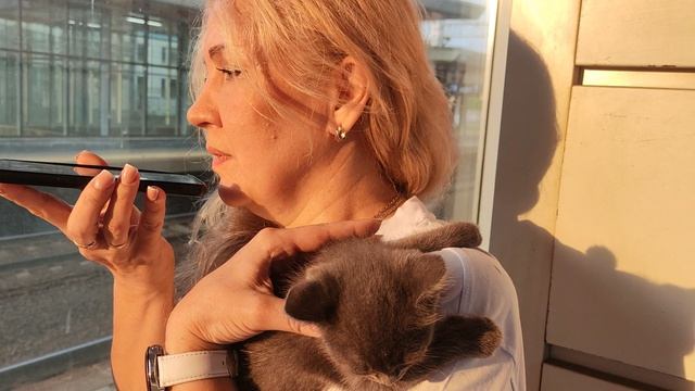 СЕНСАЦИЯ свершилось  чудо волшебник нашел доброго человека и кот 🐈 Вася подарен в добрые руки....