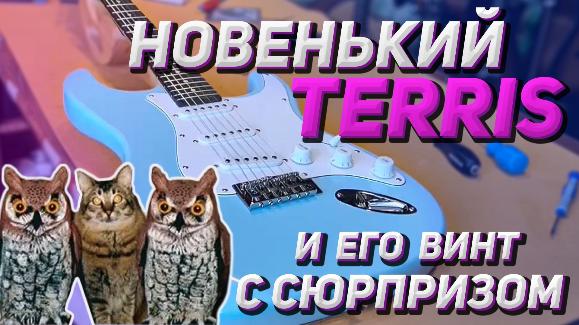 Отстройка стратокастера TERRIS