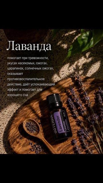 ЭТО БАЗАААА🫴☘️
#АромаТаролог_в_эфире #эфирныемасла #лето