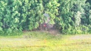 💥Северяне продолжают зачистку лесного массива у села Избицкое в Волчанском районе