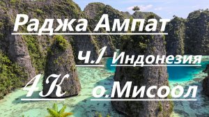 Индонезия 2026, Раджа Ампат, ч.1 остров Мисоол, лучший в мире подводный мир