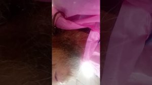 1000029429.mp4
