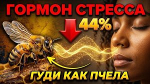 Это убивает тебя каждое утро и ты даже не догадываешься.