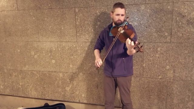 Скрипка 🎻 Богдан Казань Университет Жил Был Пёс 🐕 Чибо Пёс 🎬 Музей Псов смотреть онлайн