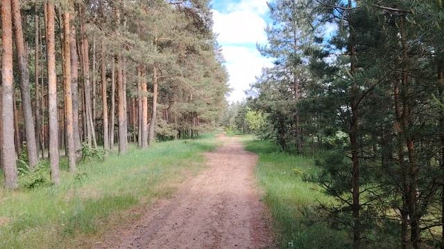 Стоит ли ехать в Москву на заработки?