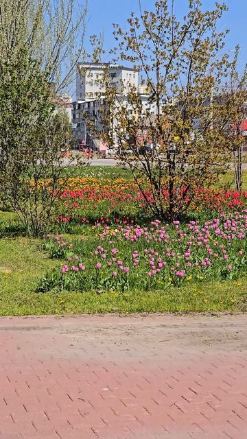 У музея диорама 