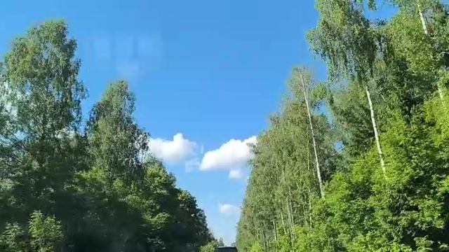 Поездка на дачу в автомобиле в предвкушении хорошего отдыха. Приятные мысли и светлые воспоминания.
