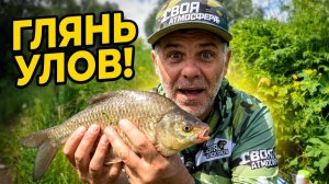 ФИДЕРНАЯ РЫБАЛКА на реке - смотри, что я поймал!