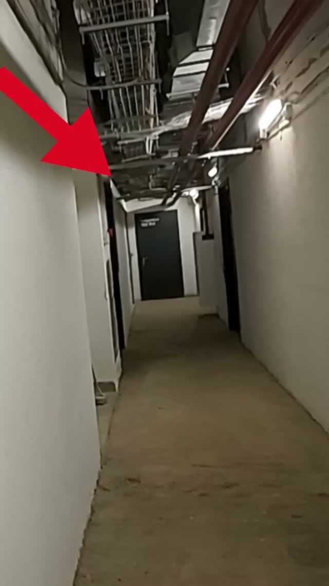 Мы не видели, что у нас за спиной… Backrooms