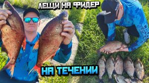 Лещ на Оке: тактика и снасти для сильного течения. 10 кг леща за утро: мой рецепт успеха