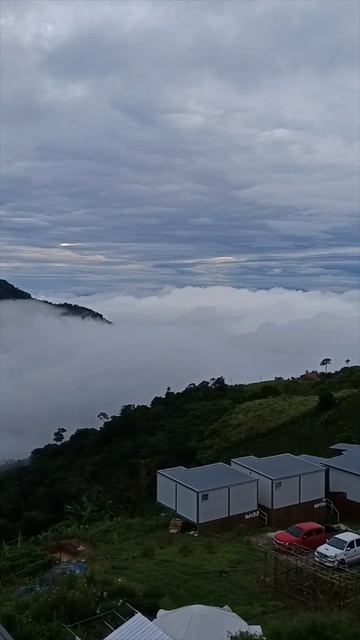 Экскурсии в Паттайе. ☁️ Phu Thap Boek: утро над облаками в провинции Пхетчабун
