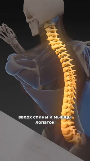 Https://t.me/fitstyler_bot?start=vksheya