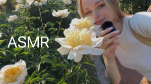 АСМР в Ботаническом САДУ МГУ 🌼 ASMR at the Botanical Garden of Moscow State University