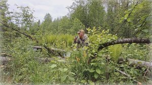 Лесная речка. Прогулка с удочкой и спиннингом. Любительская рыбалка.