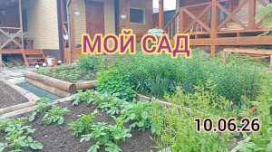 МОЙ САД.10.06.26г