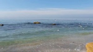Звуки Моря • Шум Моря • Релакс