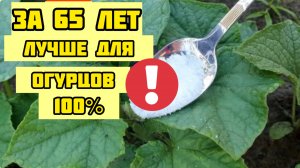 1 ложка в Июне огурцы, томаты и перцы вмиг пойдут в рост 100%
