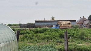 13 яиц в минус/ вторая машина пришла/ ливень дождались/
