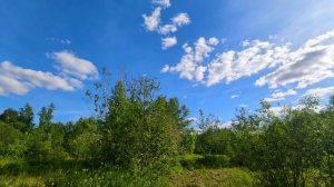 Спокойная музыка без слов для души. Фоновая музыка без слов. Спокойная музыка для фона