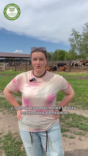 Сериал 