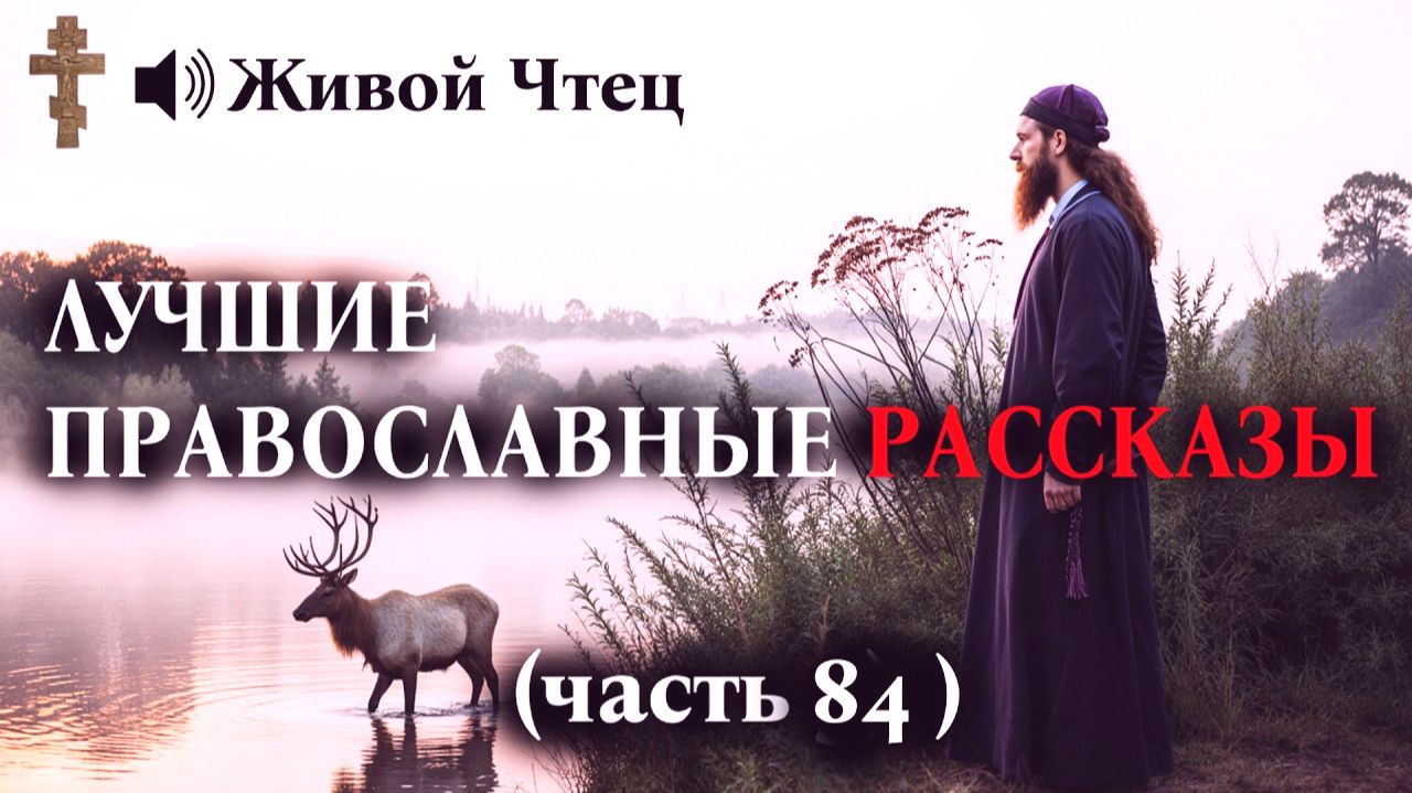 МАТЬ ПРОКЛЯЛА СЫНА В ГНЕВЕ А ЧЕРЕЗ МЕСЯЦ ПРИШЛА РАСПЛАТА ЛУЧШИЕ ПРАВОСЛАВНЫЕ РАССКАЗЫ часть 84 смотреть онлайн