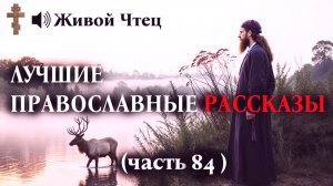 МАТЬ ПРОКЛЯЛА СЫНА В ГНЕВЕ А ЧЕРЕЗ МЕСЯЦ ПРИШЛА РАСПЛАТА ЛУЧШИЕ ПРАВОСЛАВНЫЕ РАССКАЗЫ часть 84