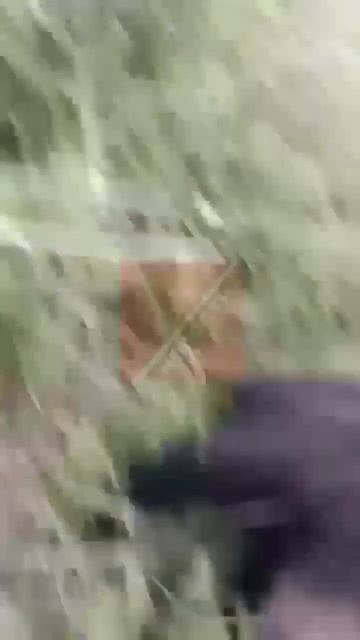 Опасный попутчик