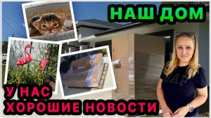 Вам понравятся наши новости😃 Купили новые палеты. Фламинго из Costco. Наш двор и сад. Дом США.
