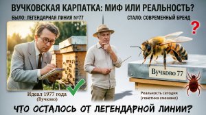 Легендарная карпатка: сохранилась ли линия Вучково 77? Отвечает Кашковский 🐝📜