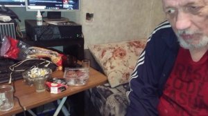 Чибо И Иван Соколов Жил Был Пёс 🐕 Моя Кино 🎬 Музей Псов
