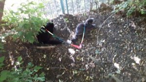 В кустах хорошо.