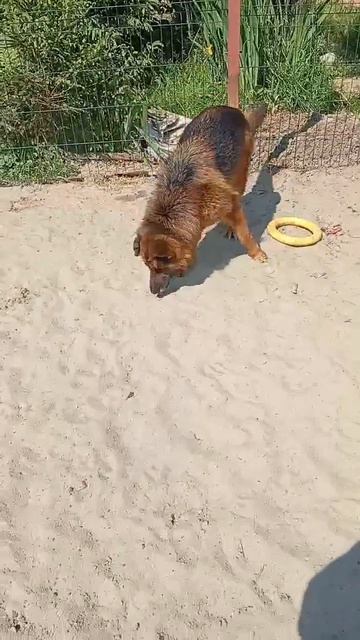 Умка смотреть онлайн