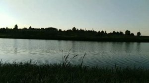 В  жару  купаться...