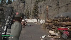 Days Gone. Прохождение №12.