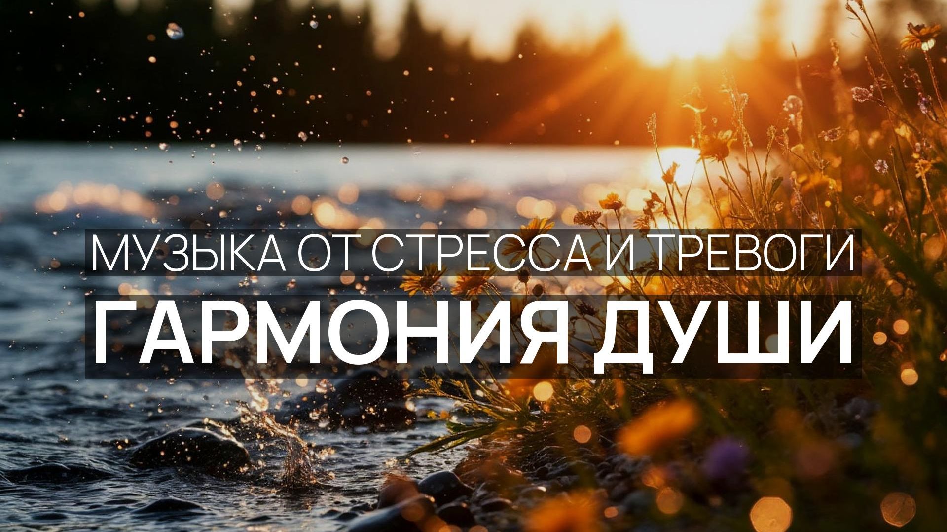 Гармония души 🏝️ Крики чаек 🌸 Звёздное небо ☁️