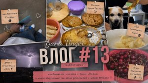 ✨ ВЛОГ #13 | Ездила на предзащиту 🎓, Юльчик купил беляши и нас завалили вкусняшками 😍 🍩 🍫