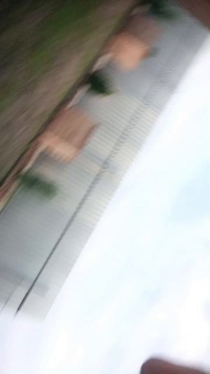кент