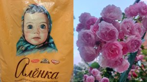 Покупки в Магнит Косметик/Вкусняшки с Нижнего Новгорода/ Влог
