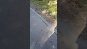 12-06-2026 день россии
