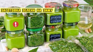 Заготовка зелени на зиму с сохранением вкуса и аромата! Свежая зелень зимой!