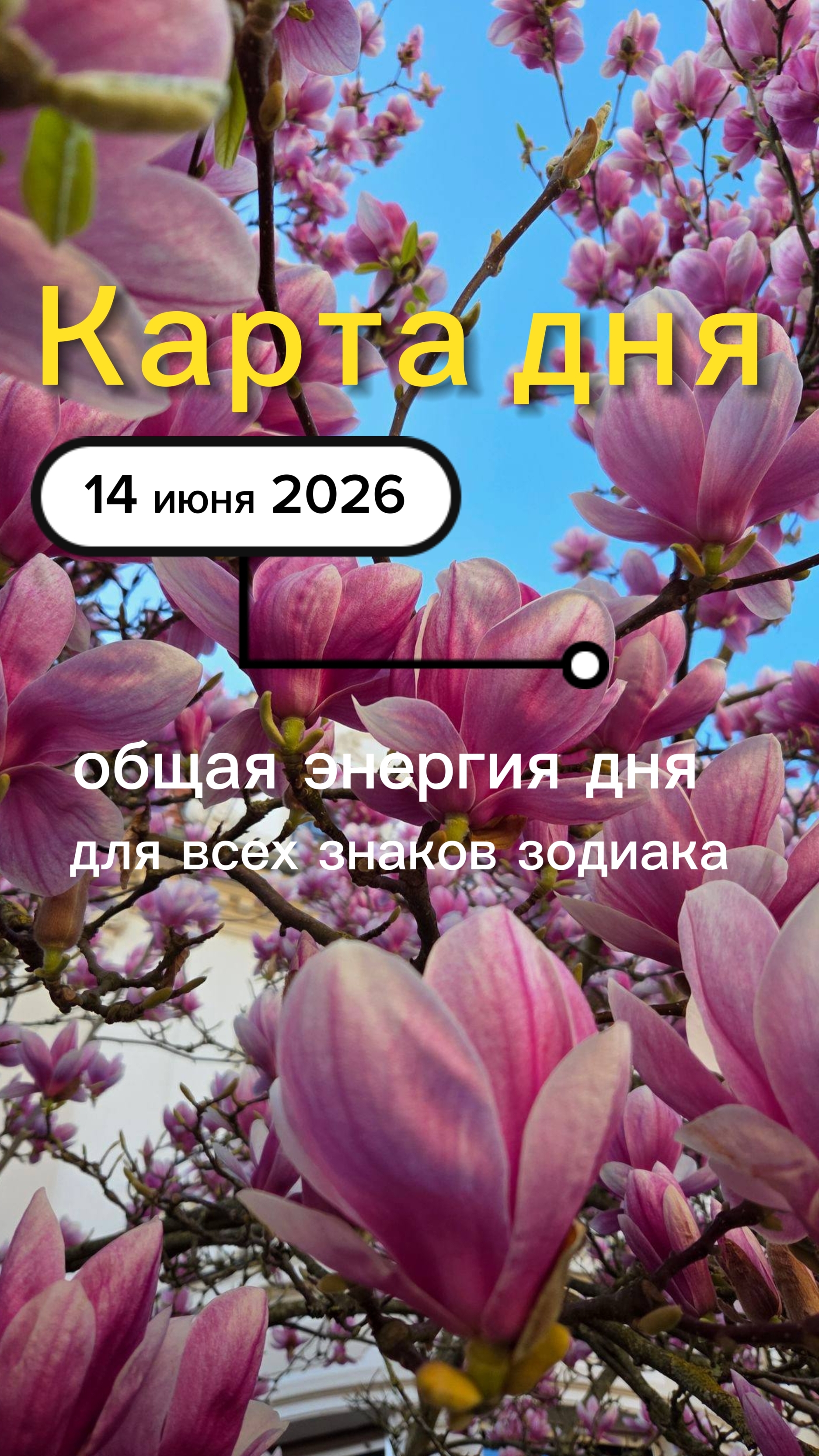 Карта общего фона на 14-06-2026. Воскресенье