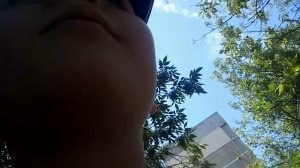 вернулся в юнону