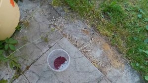Лучшее средство от ржавчины