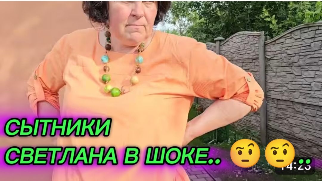 САМВЕЛ АДАМЯН, СЫТНИКИ, СВЕТЛАНА В ШОКЕ.. 🤨🤨 смотреть онлайн