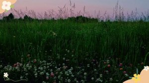 Новый фильм « Вечер в поле» ( 10 июня)