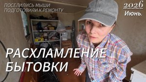 Расхламляем бытовку: уборка после мышей и вывоз мусора 🐭 🧹