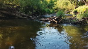 Мормышинг. Рыбалка в жару на течении.
