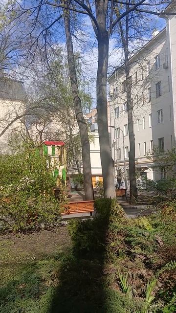 1000017763.mp4Москва.12.06.2026г.