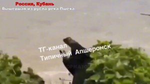 НОВОСТИ 12 ИЮНЯ 2026 - ЧП❗ Россия❗ Москва Ураган❗ Катаклизмы❗ События Дня❗ США Европа❗